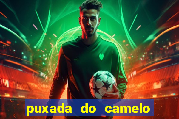 puxada do camelo jogo do bicho